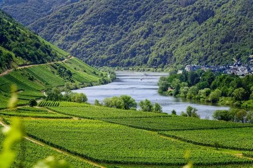 La strada verso la Coppa del Mondo FIFA 2006 in Germania